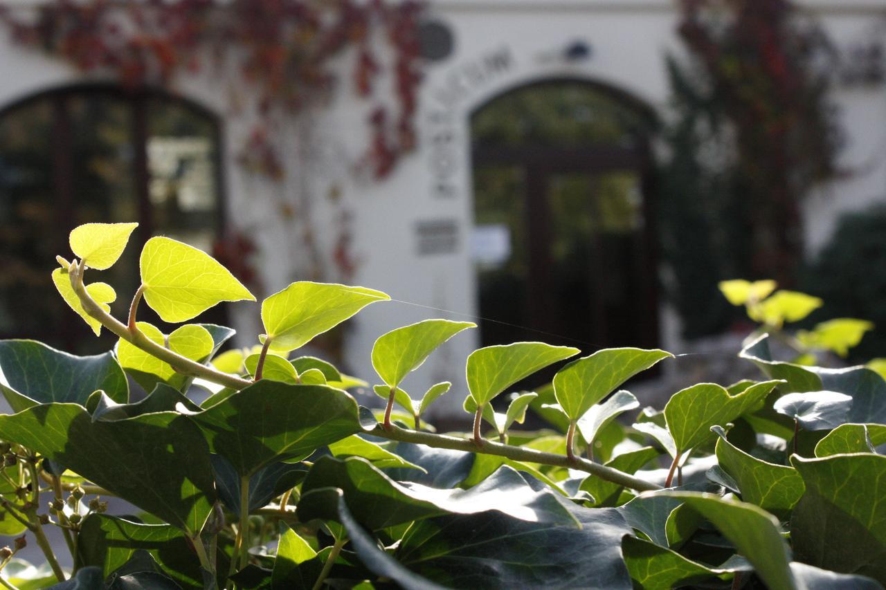 The Zen Hotel - Posticum Oradea Exterior photo